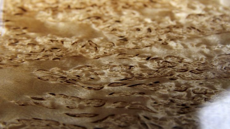 Рисунок древесины карельской березы, образованный из наплыва березы (капа) напоминает малахит