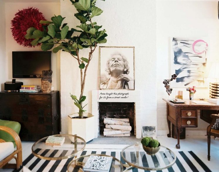 идеальным вариантом для уюта квартиры могут стать комнатные растения