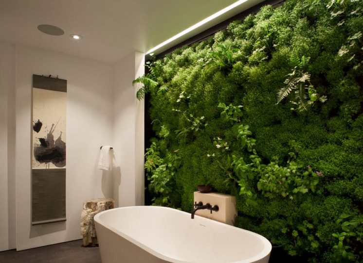 Живая стена из растений в ванной