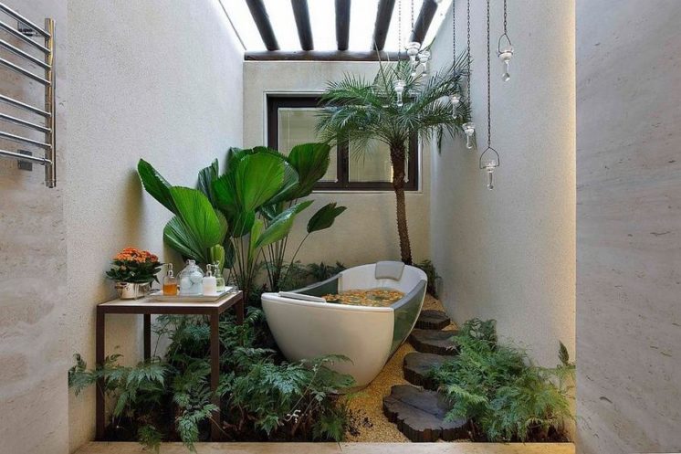 какие растения лучше всего подходят для ванной комнаты