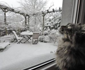 Почему зимой дует от закрытого окна